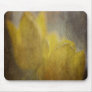 Daffodil Dreams Mouse Pad