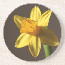 Daffodil Flower Coaster