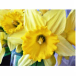 Daffodil Flowers Yellow photo sculptures