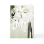 Daffodil for Dad Cards
