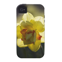 Daffodil iPhone 4 Case-Mate Tough