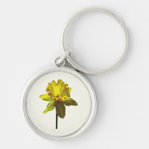 Daffodil Looking Up Key Chain