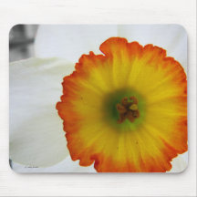 Daffodil mouse pad