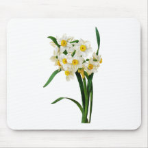 Daffodil or Narcissus By Pierre Joseph Redoute Mouse Pads