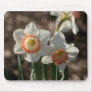Daffodil Photo Mouse Pad