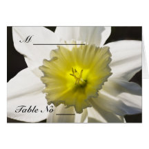 Daffodil Place Setting Card