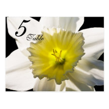 Daffodil Reception Table Number Post Card