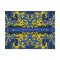 Daffodil Spring Fantasy Postcards