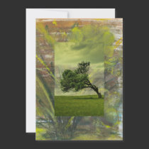 Daffodil Sweep invitations