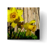 Daffodil Twins Pins