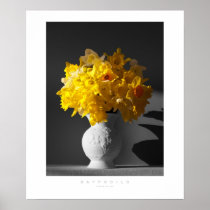 Daffodil Wall Print