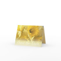 daffodil wedding announcement