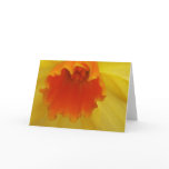 daffodill flower card