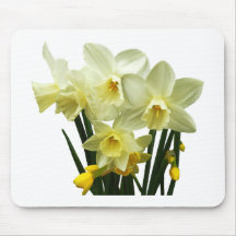 Daffodils and Buds Mouse Pad