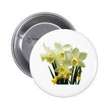 Daffodils and Buds Pinback Buttons