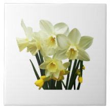 Daffodils and Buds Tiles