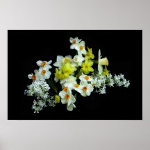 Daffodils and Lilacs Print