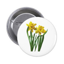 Daffodils At Attention Buttons