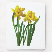 Daffodils At Attention Mousepads
