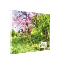 Daffodils by Bench Stretched Canvas Print