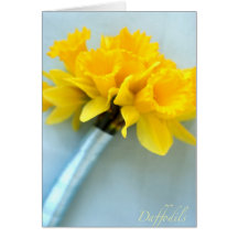 Daffodils Card