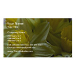 Daffodils Closeup flowers Business Cards