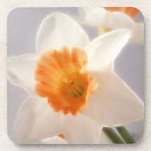 Daffodils Beverage Coaster