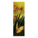Daffodils - First Flower Of Spring Bookmark business cards