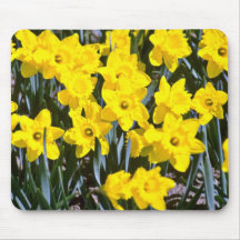 Daffodils  flowers mouse pad