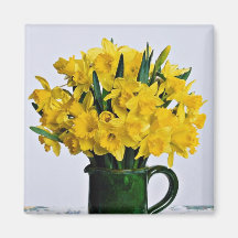 Daffodils in green vase  flowers magnets
