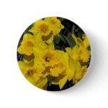 daffodils in spring time 2 pinback button