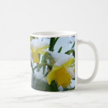 DAFFODILS IN THE SNOW MUG