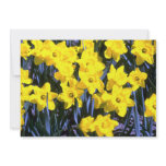 Daffodils Invites