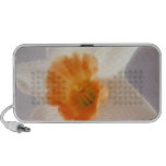 Daffodils iPod Speaker