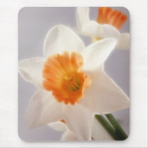 Daffodils Mouse Pad