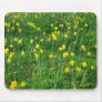 Daffodils/Narcissus Mousepad