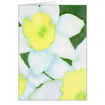 Daffodils Notecard