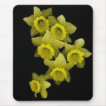 Daffodils On Black Mouse Pads
