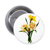 Daffodils or Narcissus By Pierre Joseph Redoute Buttons
