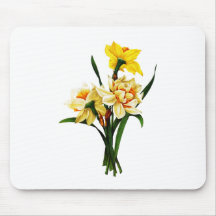 Daffodils or Narcissus By Pierre Joseph Redoute Mouse Pads