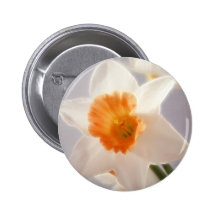 Daffodils Pinback Button