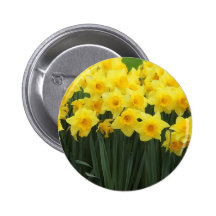Daffodils Pins