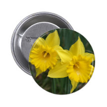 daffodils pins