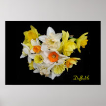 Daffodils Posters