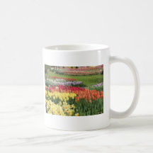 Daffodils Tulips Hyacinths Pencils Mugs