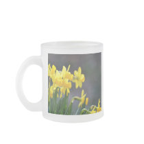 Daffodils Upclose Coffee Mugs
