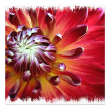 dahlia-29 custom invite