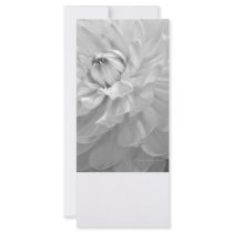 Dahlia Bloom in Black & White Customized Rack Card