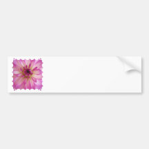 Dahlia Bumper Sticker