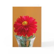 Dahlia